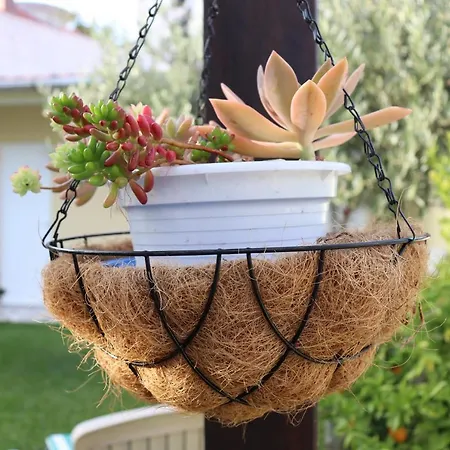 منزل للإقامة Arouca Guest House