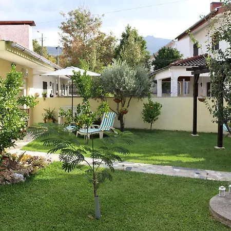 Arouca Guest House منزل للإقامة اروكا