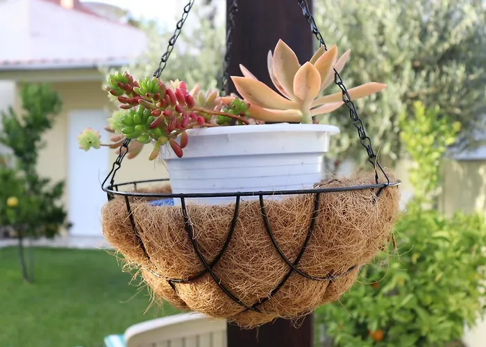 홈스테이 Arouca Guest House